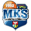 Logo Dabrowa Gornicza 2