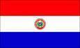 Logo Paraguay