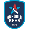 Logo Anadolu Efes Sports Club