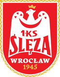 Logo Wroclaw Women's