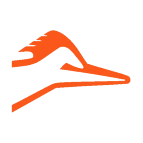 Logo Correcaminos