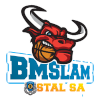 Logo Stal Ostrow Wielkopolski