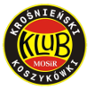 Logo Miasto Szkla Krosno