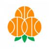 Logo Umea BSKT