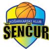 Logo Sencur Cestno Podjetje Kranj