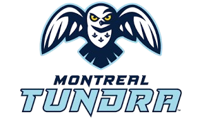 Logo Montreal Toundra