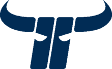 Logo Kapfenberg Bulls