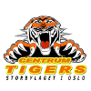 Logo Centrum Tigers