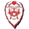 Logo Hogsbo Basket