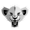 Logo Lyonso Basket