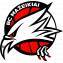 Logo Mazeikiai