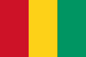 Logo Guinea