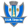 Logo ACS Targu Jiu