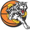 Logo Willetton Tigers Women