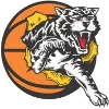 Willetton Tigers Women