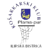 Logo Plama P.