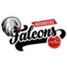 Logo Nurnberger