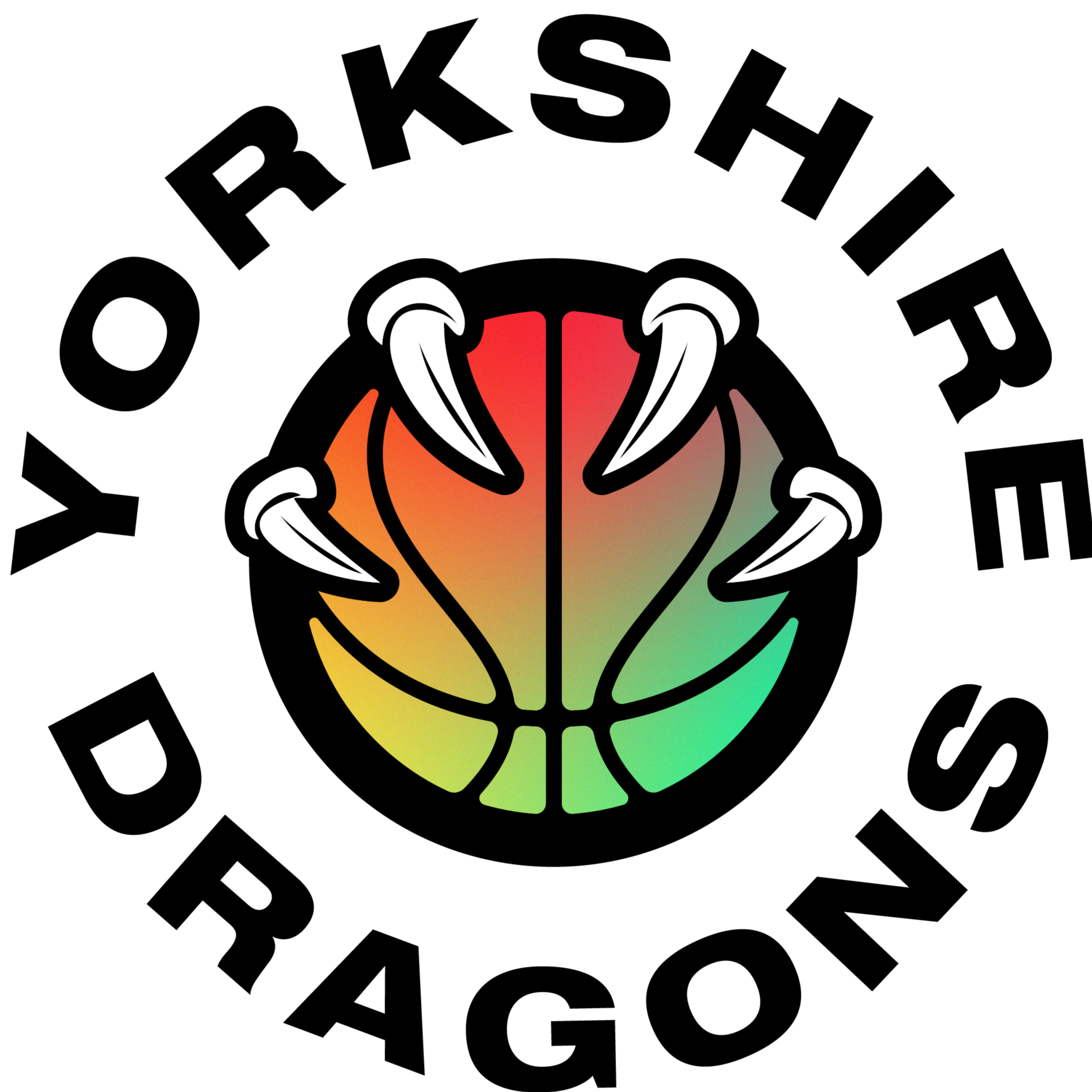 Logo Yorkshire Dragons