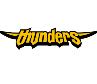 Logo Seoul Samsung Thunders