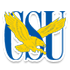 Logo Coppin State