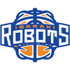 Logo Ibaraki Robots