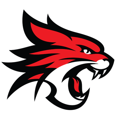 Logo Perth Wildcats