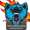 Logo Wetterbygden Stars