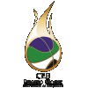 Logo Puerto Montt LNB2
