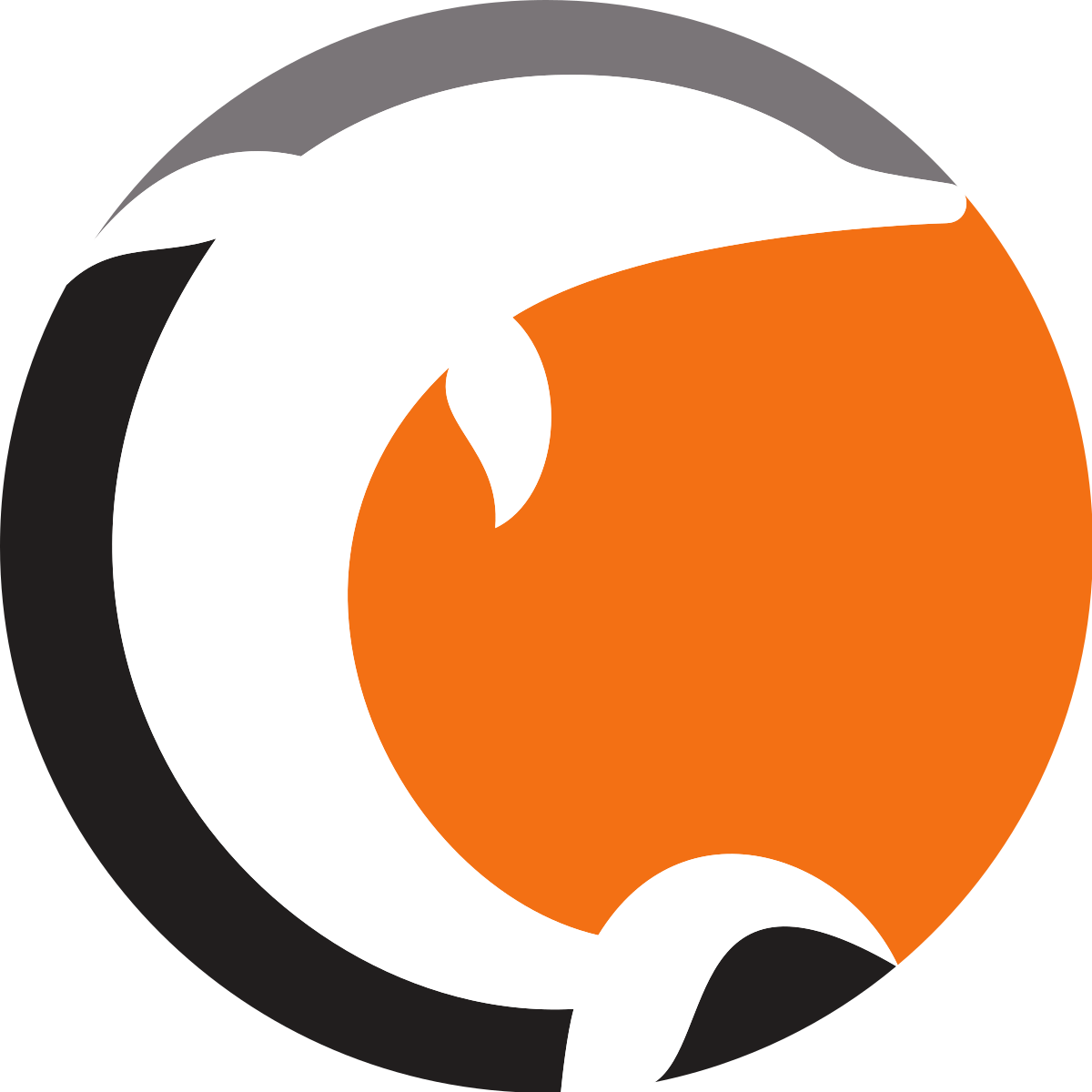Logo Norrkoping Dolphins