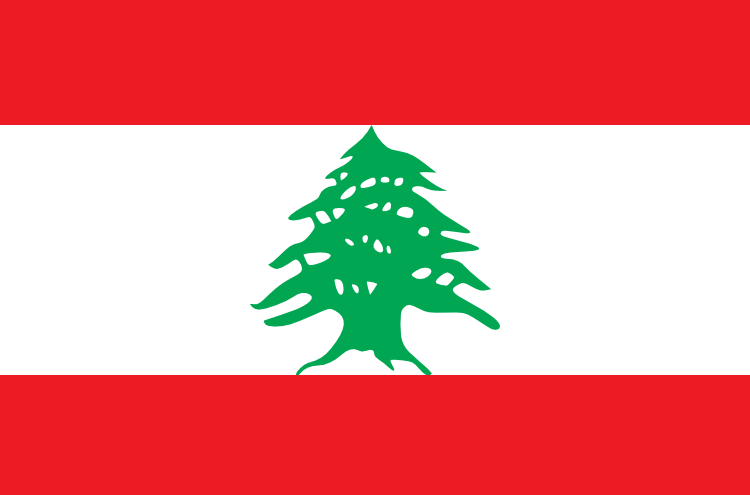 Logo Lebanon Women