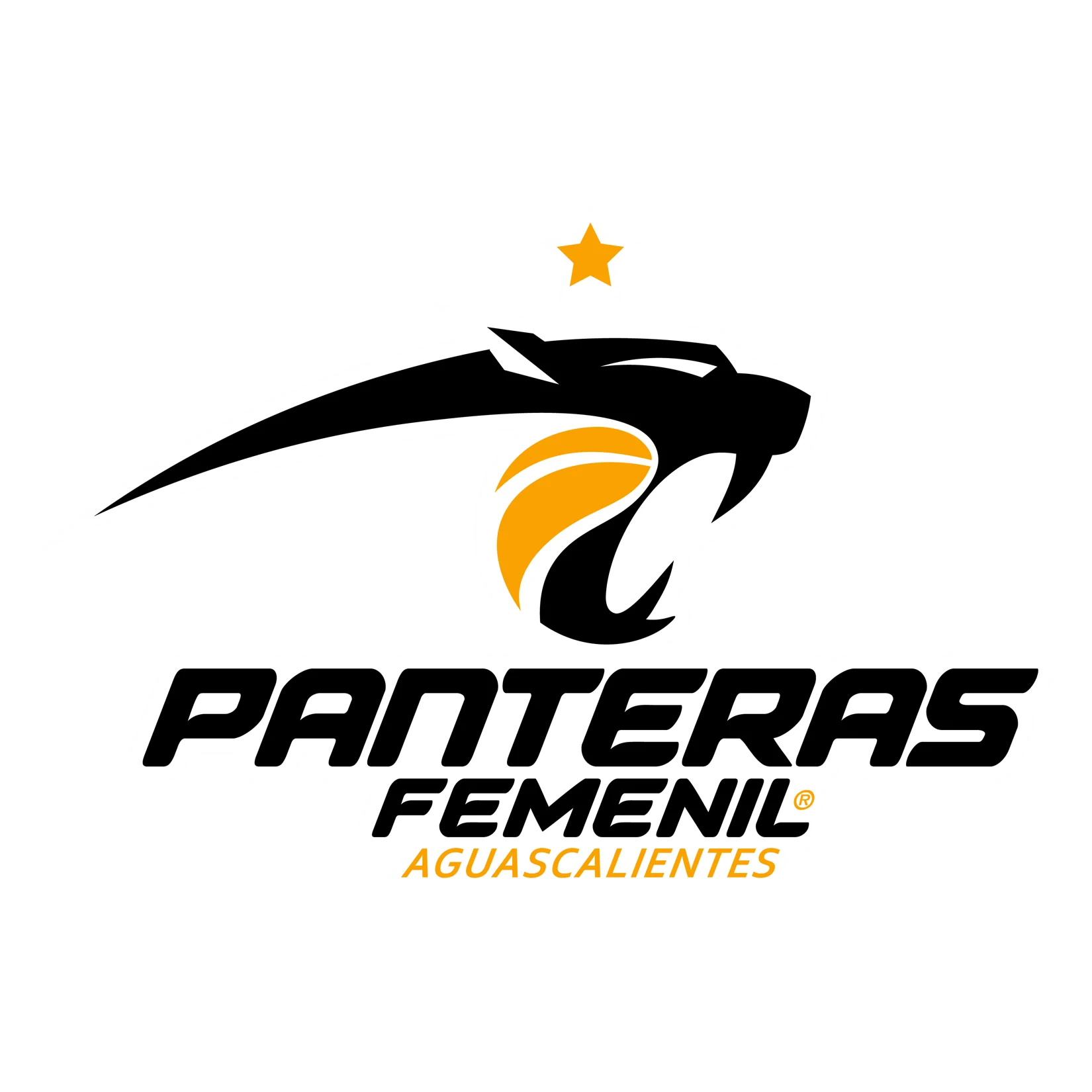 Panteras de Aguascalientes Women