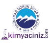 Logo Haznedar Doruk Istanbul