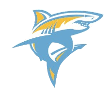 Logo Long Island University