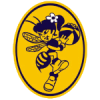 Logo Vologda Chevakaa Women