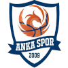 Logo Istanbul Anka Spor