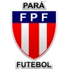 Giải bóng đá Campeonato Paraense