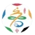 Shandong Qilu Football Super League