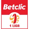 Poland Liga 1