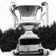 Northern Ireland Intermediate Cup