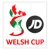 Cúp Welsh Premier