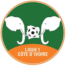 Giải bóng đá Côte d
