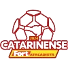 Giải bóng đá Campeonato Catarinense Hạng 1 của Brasil
