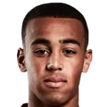 Tyler Adams