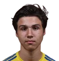 Vikentii Voloshyn