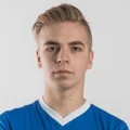 Tristan Teevali