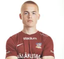 Vaino Vehkonen