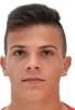 leonardo petrovic