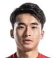 Lei Wenjie