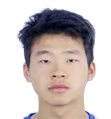 Pi Ziyang