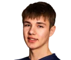 Ervins pinaskins